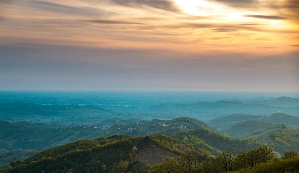 细胞记忆Cell Memorize